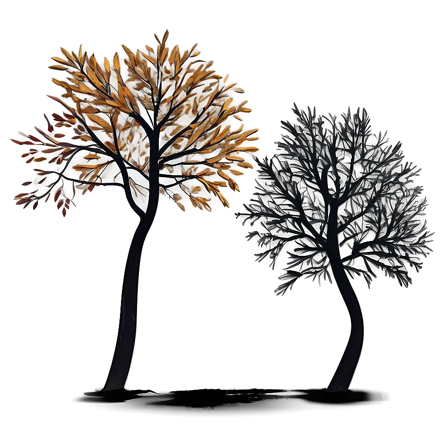 Autumn Tree Shadow Png 65 PNG image