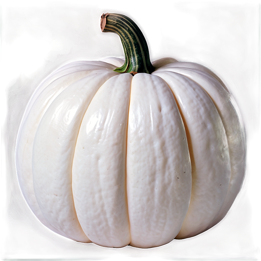 Autumn White Pumpkin Png 67 PNG image