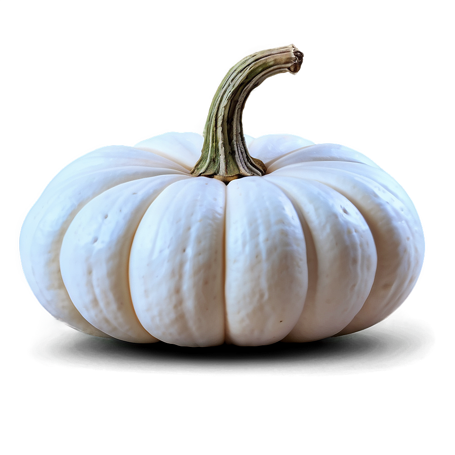 Autumn White Pumpkin Png Rrd PNG image