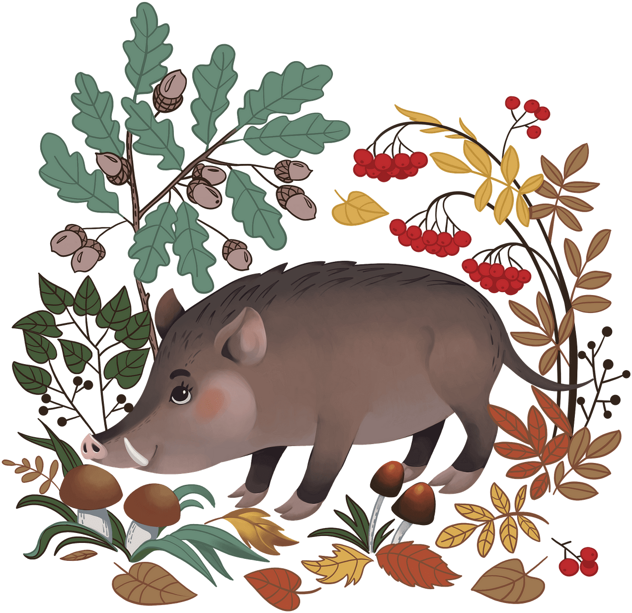 Autumnal Boar Illustration PNG image