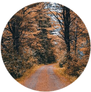 Autumnal Forest Path.jpg PNG image