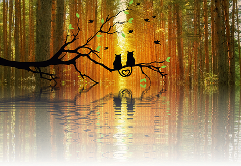 Autumnal Love Reflection PNG image