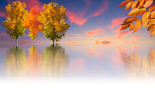 Autumnal Reflections Sunset PNG image