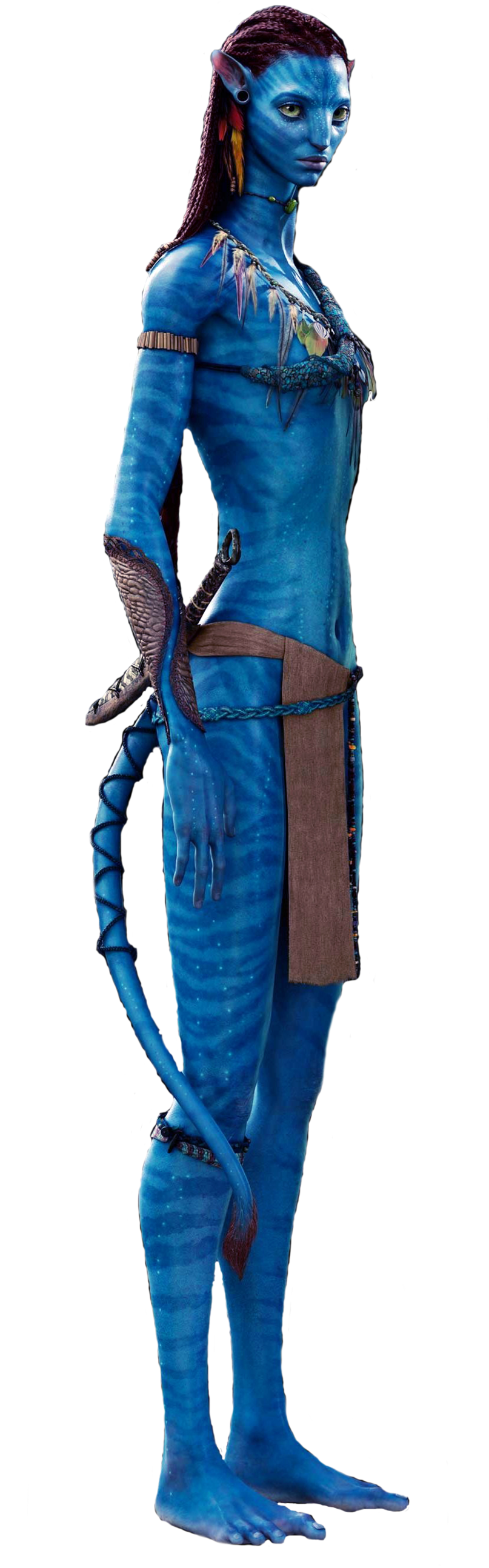 Avatar Na'vi Character Standing PNG image