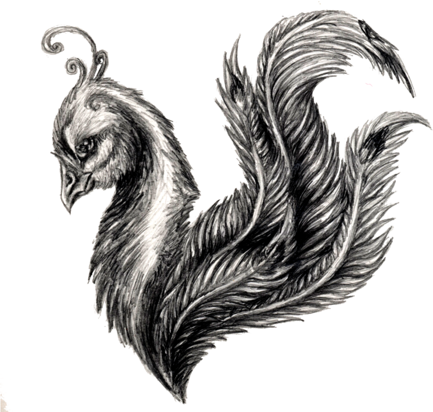 Avian Feather Fusion Artwork.png PNG image