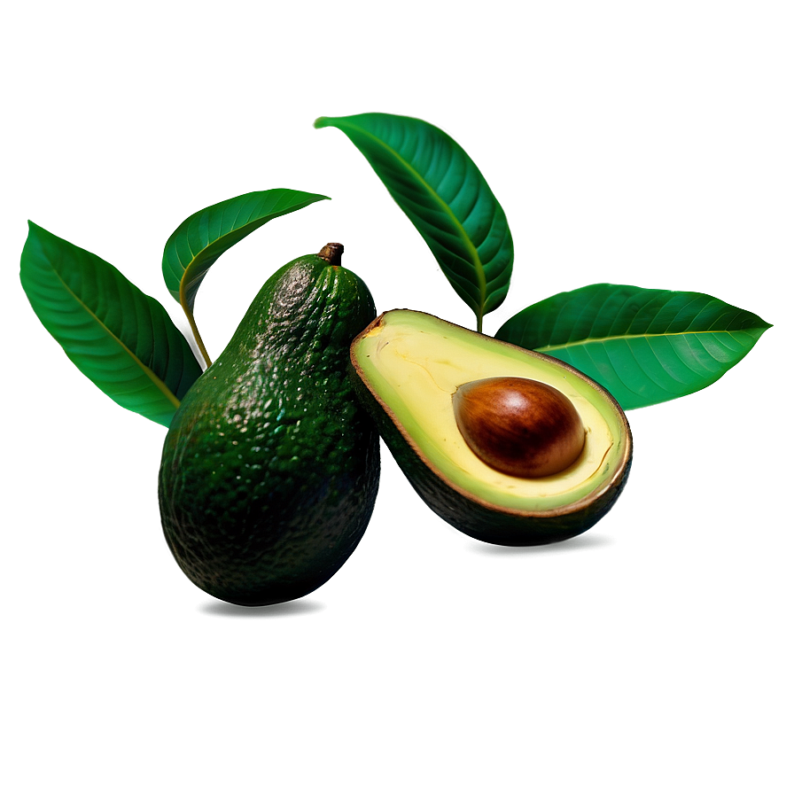 Avocado Tree Png Ihk56 PNG image