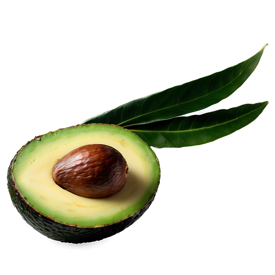Avocado With Leaf Png Ymk PNG image