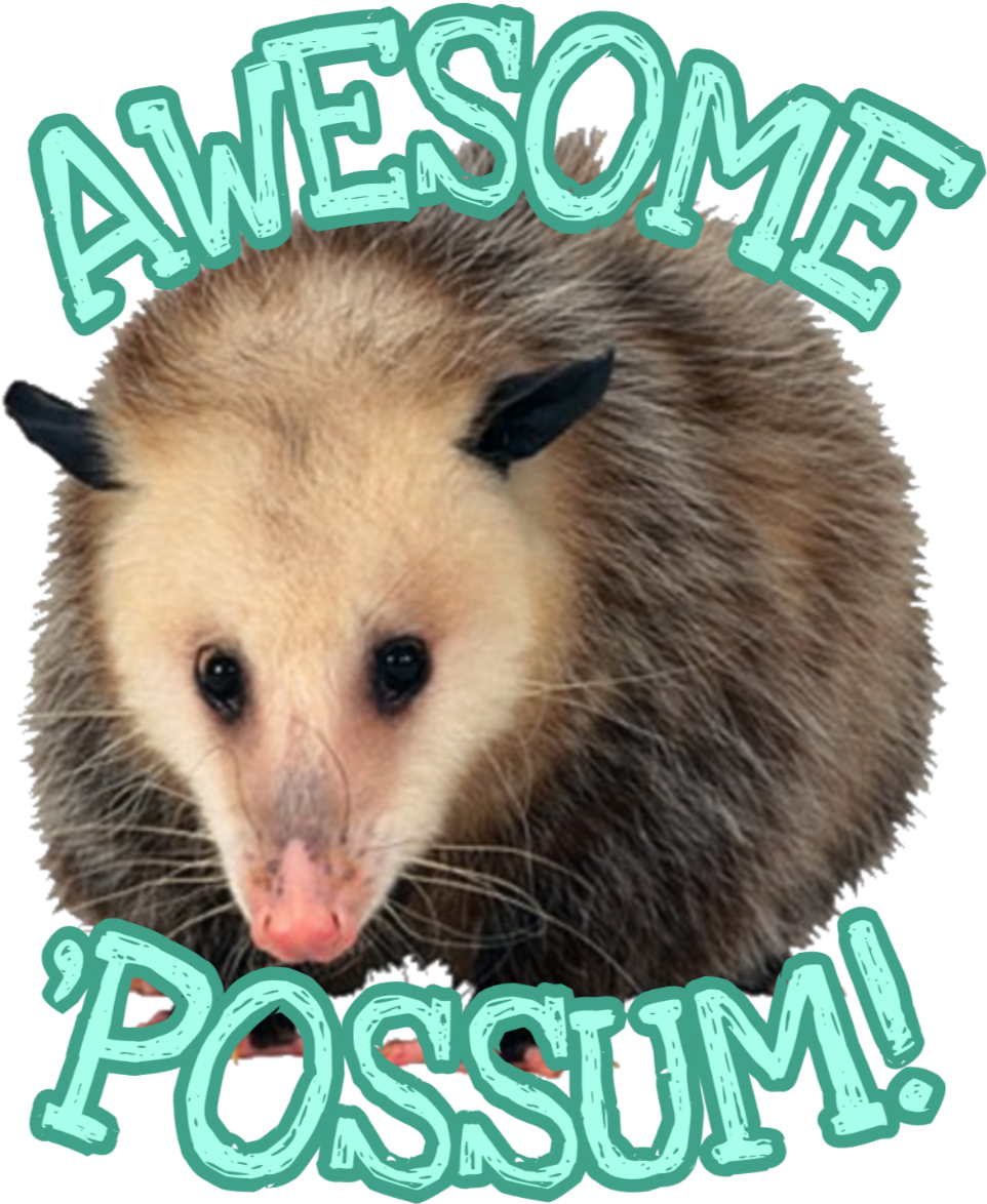 Awesome Possum Graphic PNG image