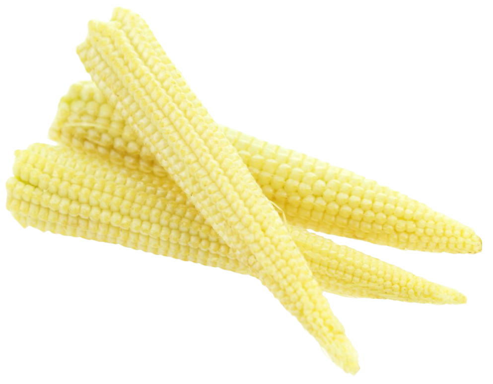 Baby Corn Cluster Fresh Produce PNG image