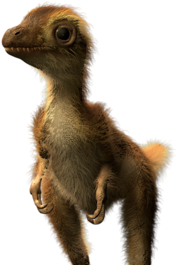 Baby Dinosaur Illustration PNG image