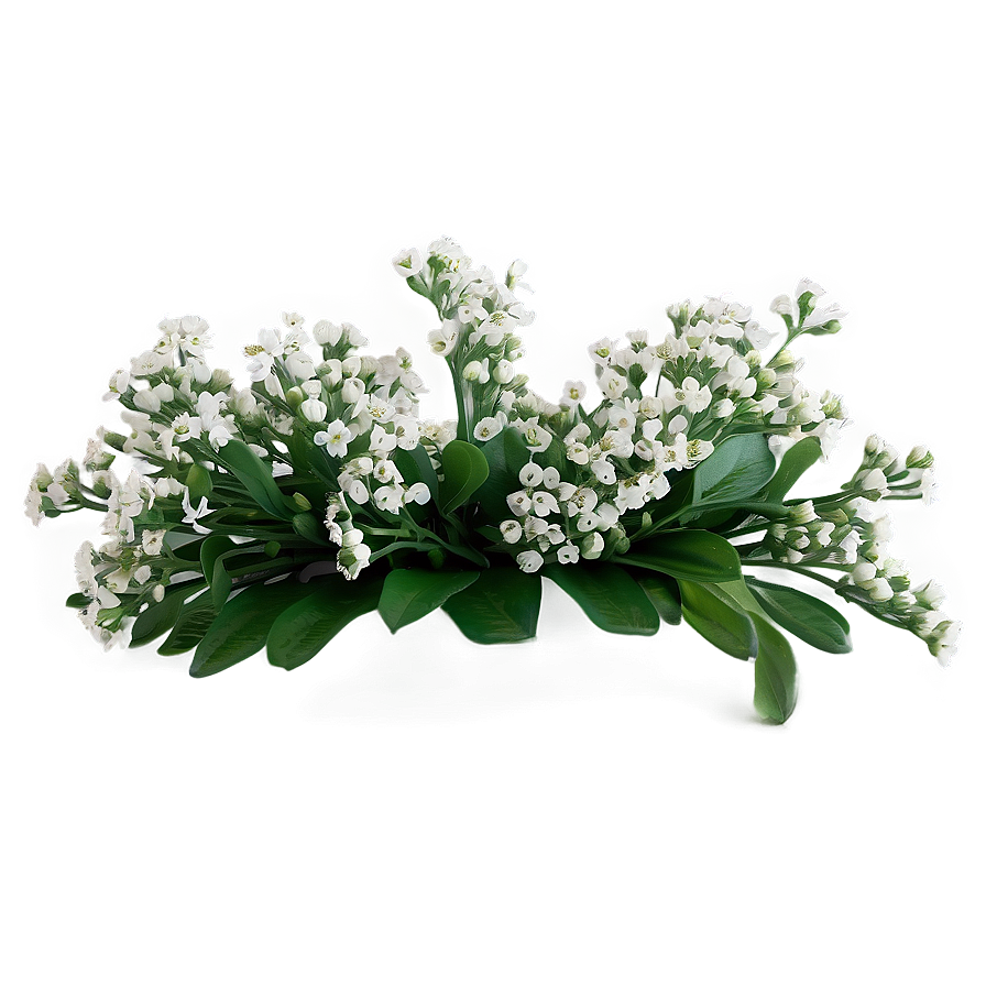 Baby's Breath Border Design Png 33 PNG image