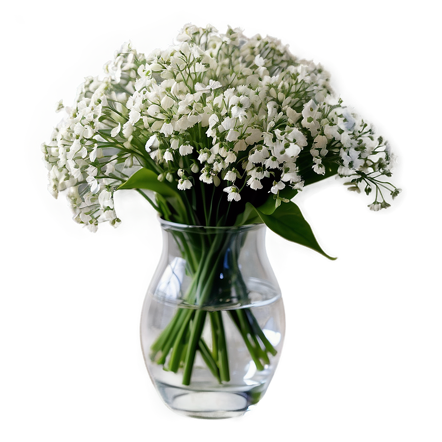 Baby's Breath In Vase Png Ndc PNG image