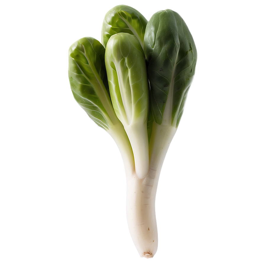 Baby Vegetables Png 05242024 PNG image