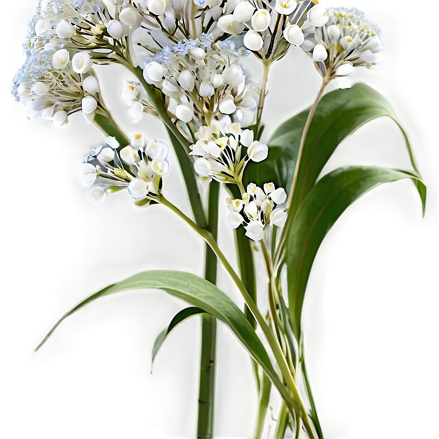 Babys Breath And Eucalyptus Combo Png Kva PNG image