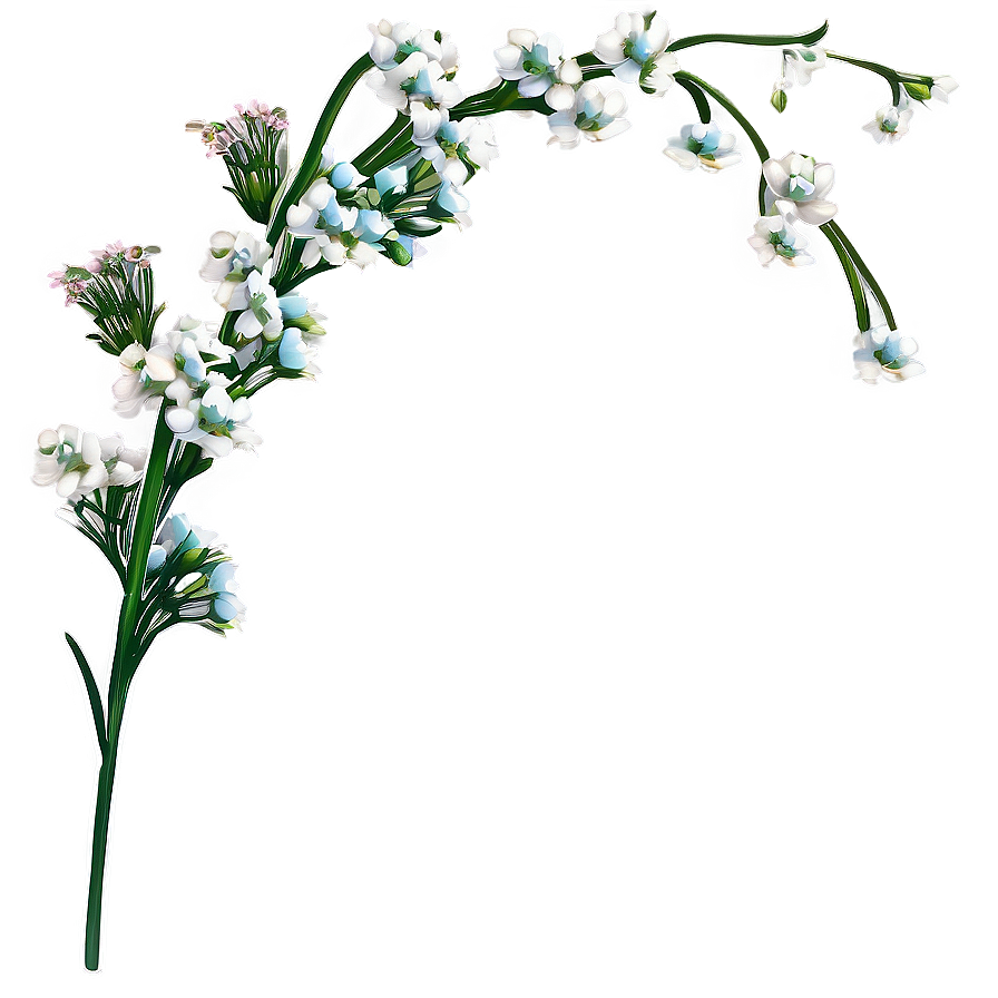 Babys Breath Greeting Card Art Png 27 PNG image