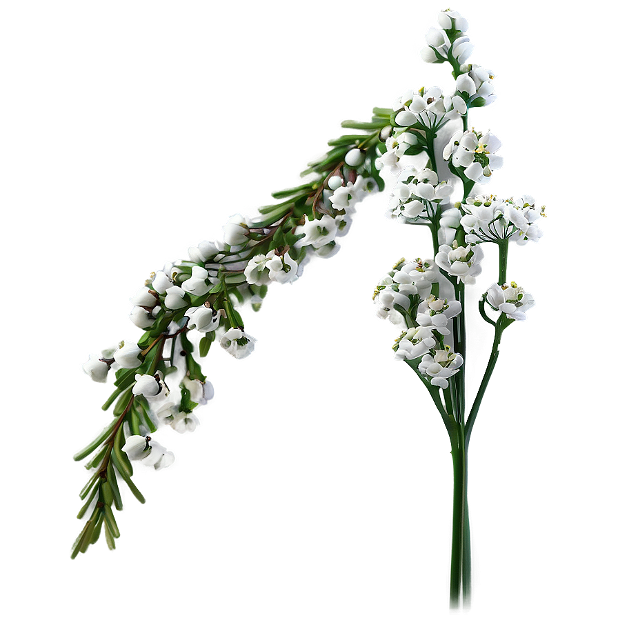 Babys Breath Wedding Decor Png Mjm PNG image