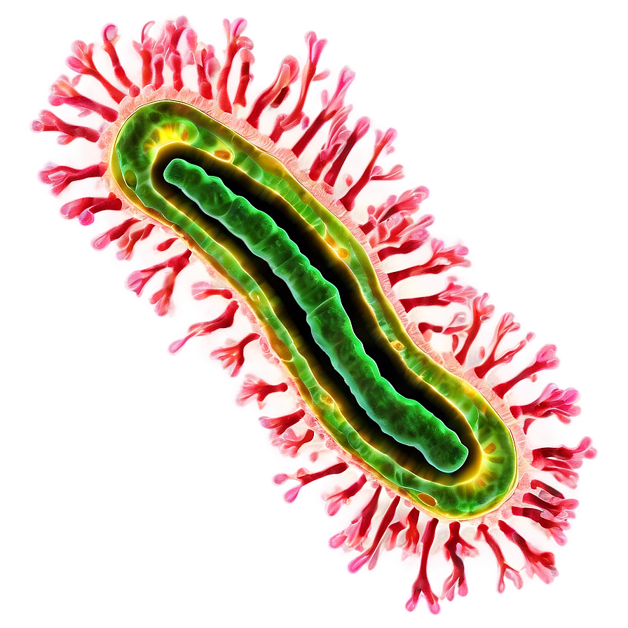 Bacteria Microbiology Png 68 PNG image