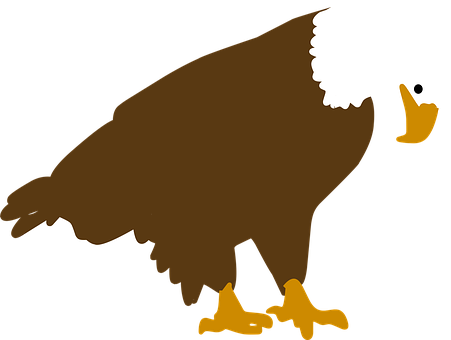 Bald Eagle Silhouette PNG image