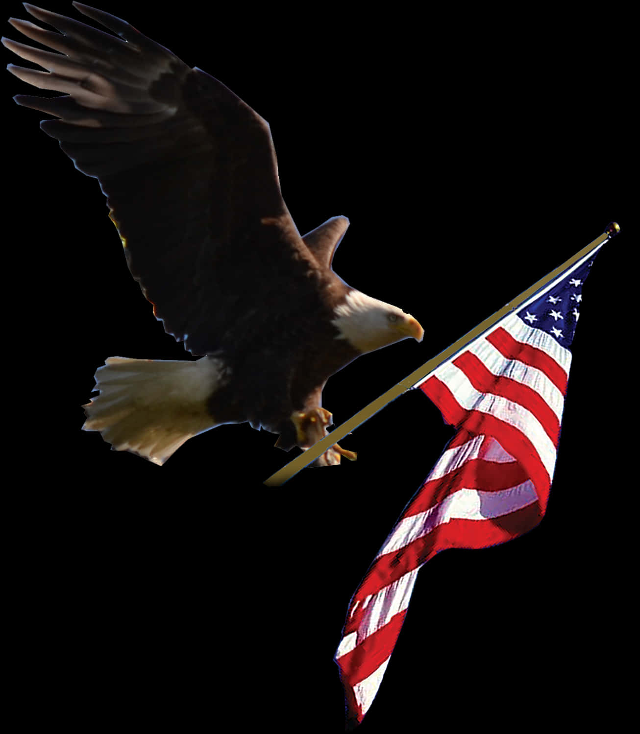 Bald Eagle With American Flag PNG image