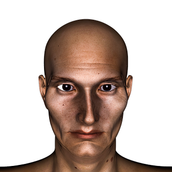 Bald Headed Man Portrait PNG image