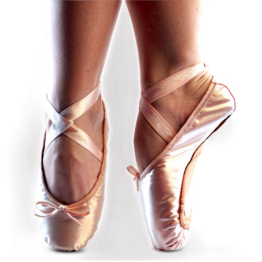 Ballet Shoes D PNG image