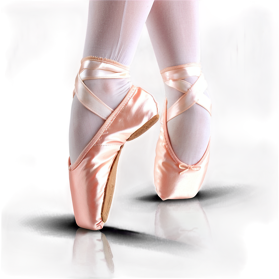 Ballet Shoes Side View Png 60 PNG image