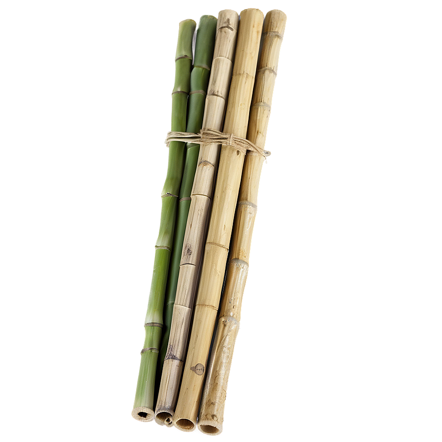 Bamboo Straw Png Ffy10 PNG image