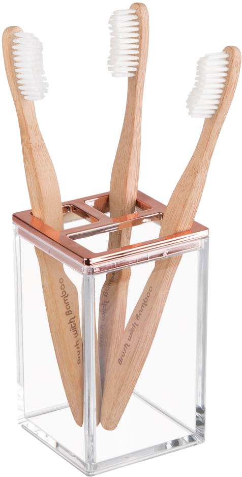 Bamboo Toothbrushesin Holder PNG image