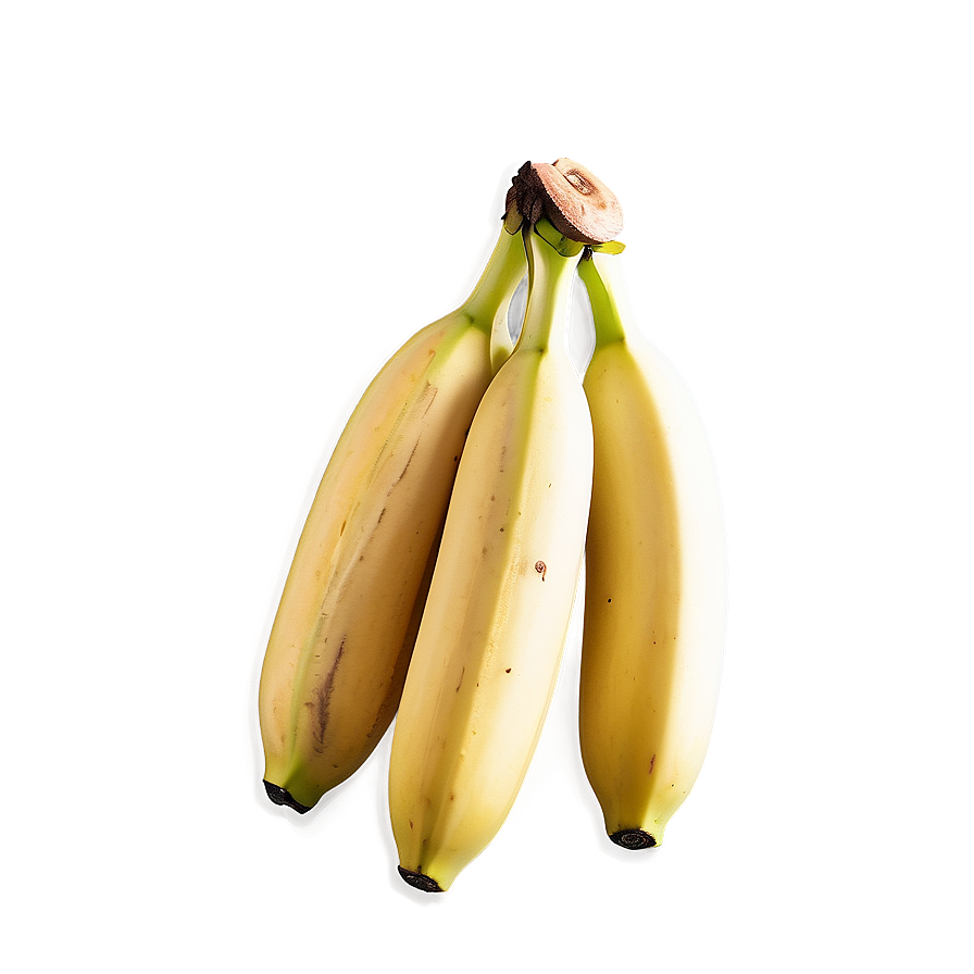 Banana Bunch Graphic Png Xts68 PNG image