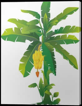 Banana Plant Artistic Representation PNG image