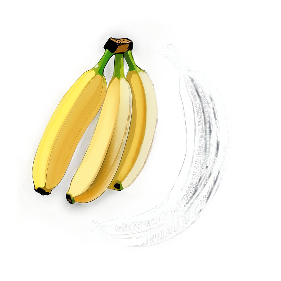 Banana Sketch Png 51 PNG image