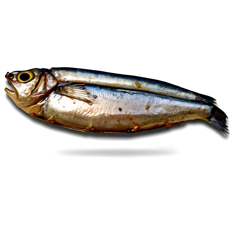 Barbecue Sardines Png Nbe5 PNG image