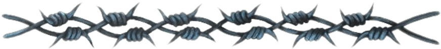 Barbed Wire Barrier PNG image