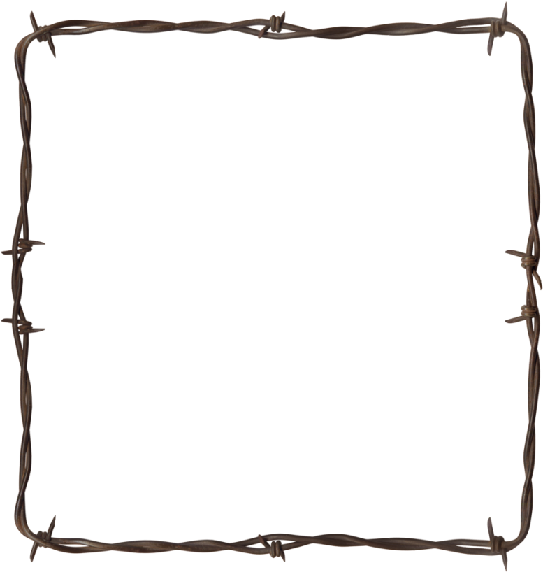 Barbed Wire Frame Border PNG image