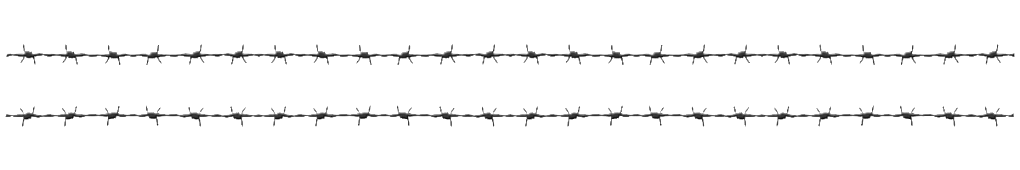 Barbed Wire Security Barrier PNG image