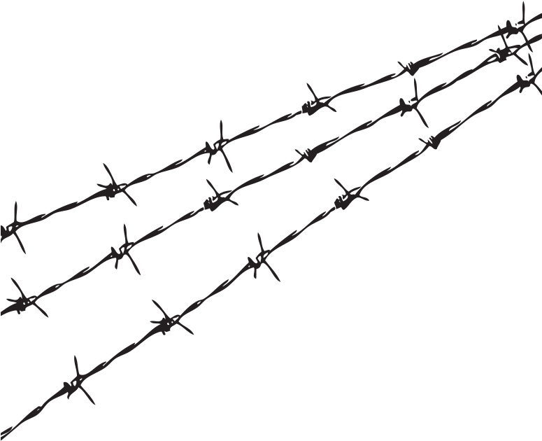 Barbed Wire Silhouette Against Sky PNG image