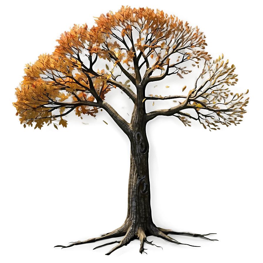 Bare Autumn Tree Png 73 PNG image