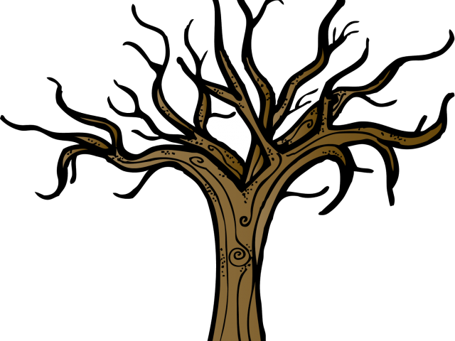 Bare Branches Tree Illustration PNG image