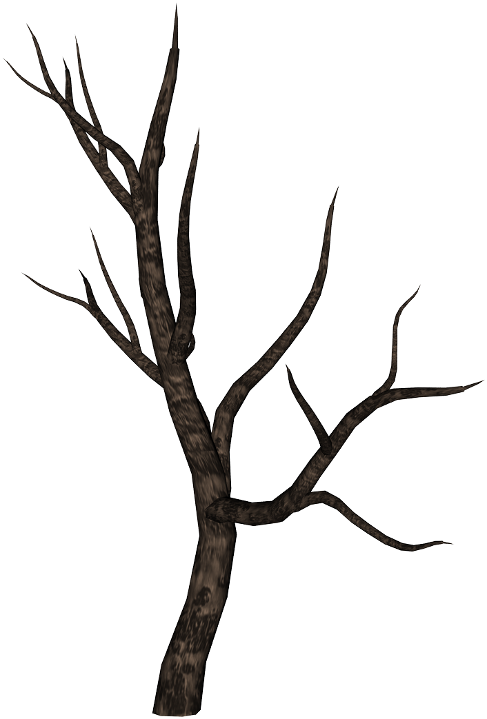 Bare Tree Branch Silhouette PNG image