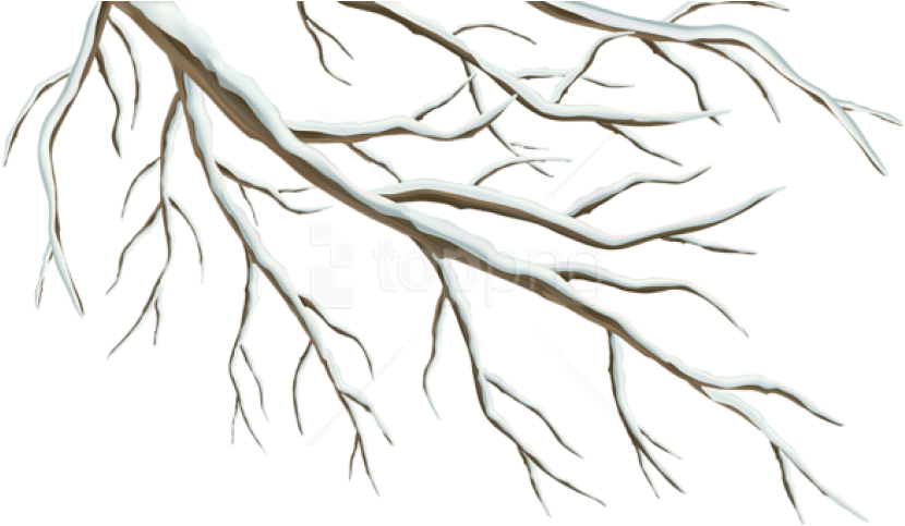 Bare_ Tree_ Branches_ Graphic PNG image