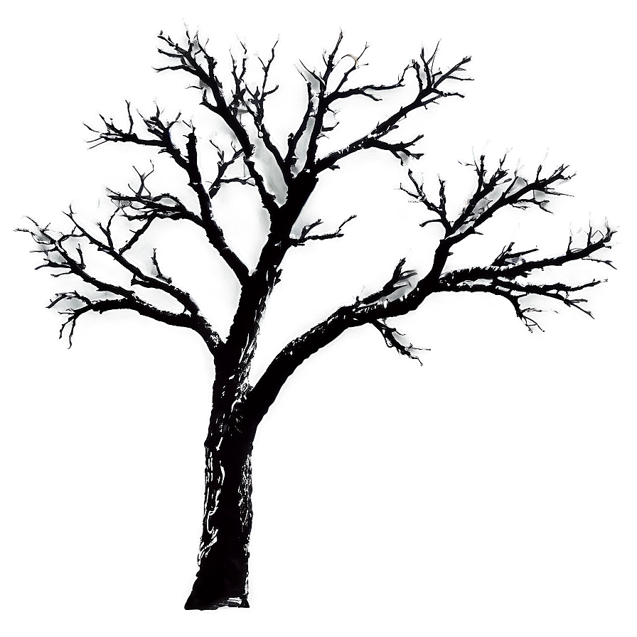 Bare Tree Branches Png Ehc24 PNG image