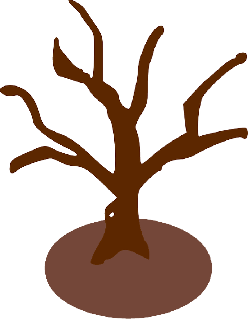 Bare Tree Branches Silhouette PNG image