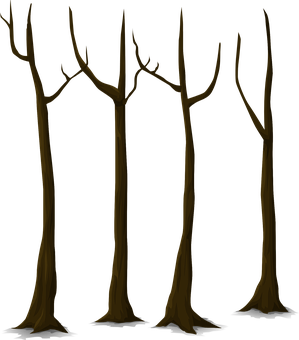 Bare Trees Against Dark Background PNG image