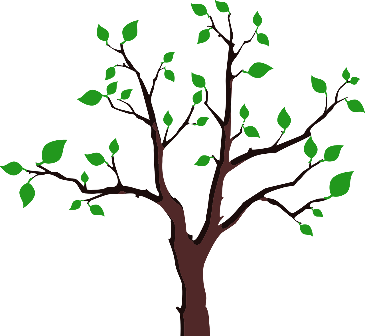 Bare Treewith Spring Leaves PNG image