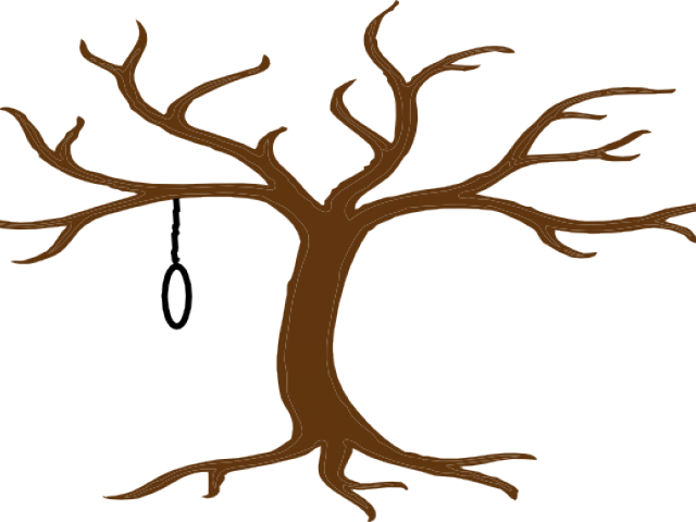 Bare Treewith Tire Swing PNG image