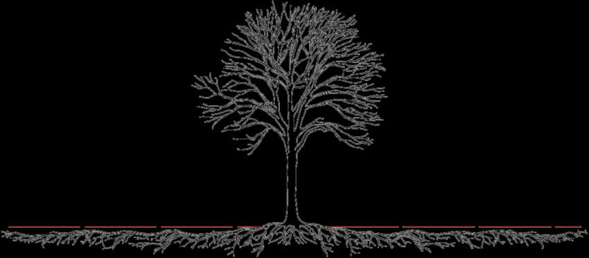 Bare Treewith Visible Roots PNG image