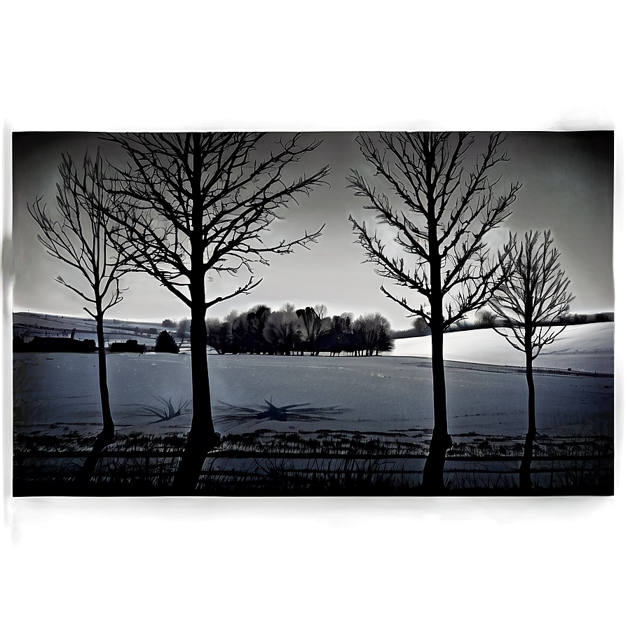 Bare Winter Trees In Field Png 15 PNG image