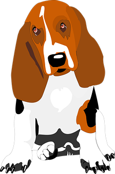 Basset Hound Cartoon Illustration PNG image