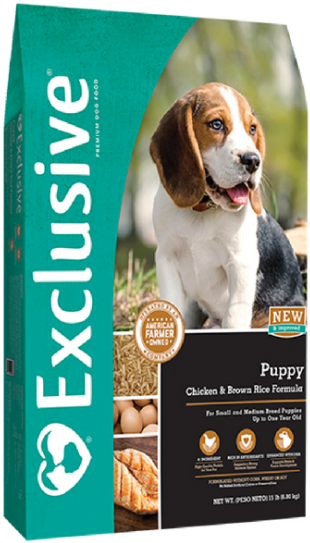 Basset Hound Puppy Dog Food Advertisement PNG image