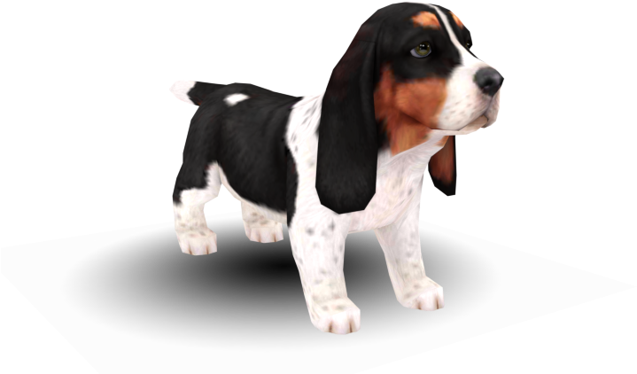 Basset Hound Puppy Standing PNG image